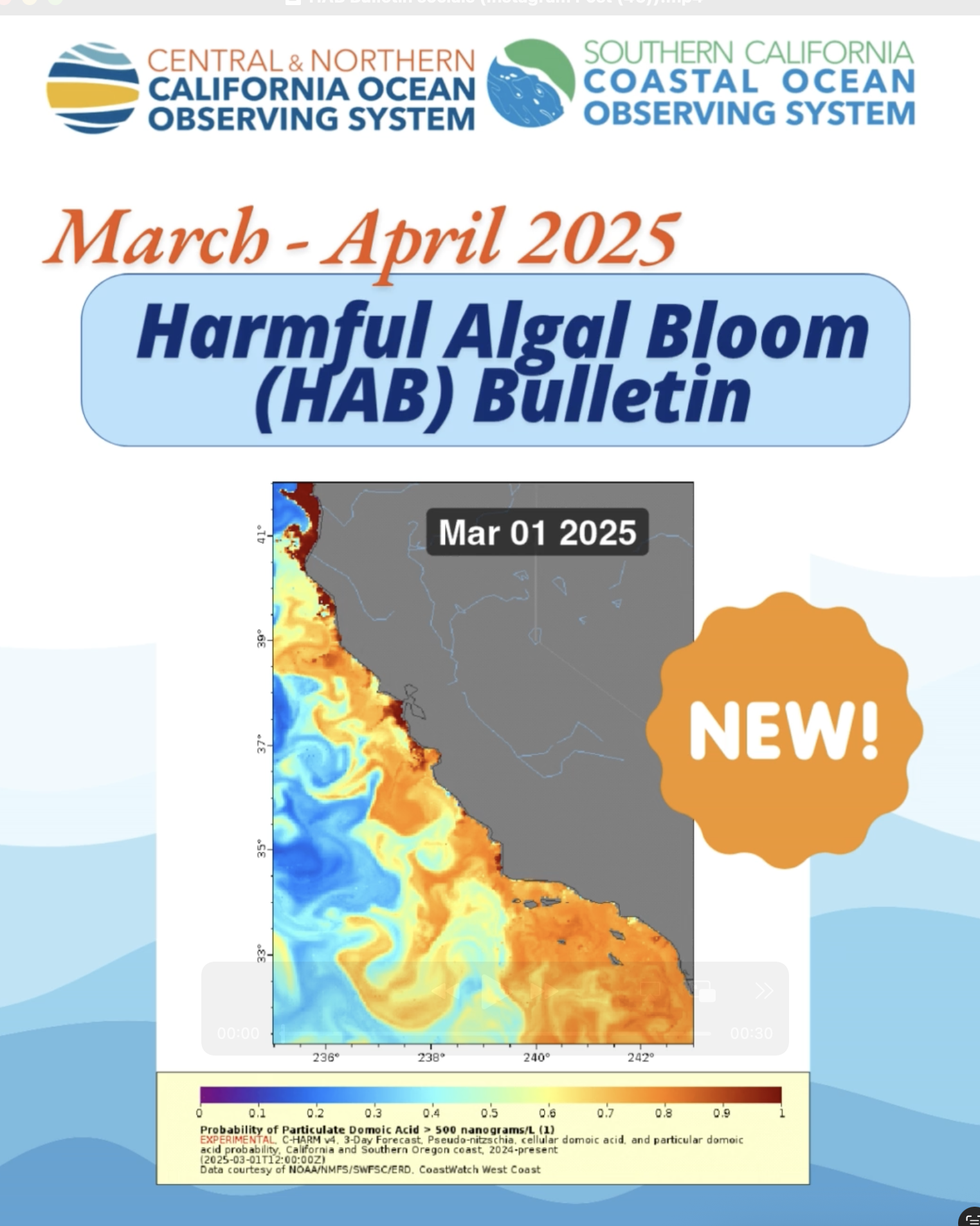JUST RELEASED: April-May 2025 HAB Bulletin